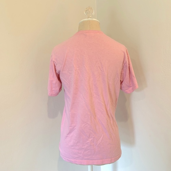 Light Pink Delta Zeta T Shirt w/ DZ Letters - Picture 4 of 8